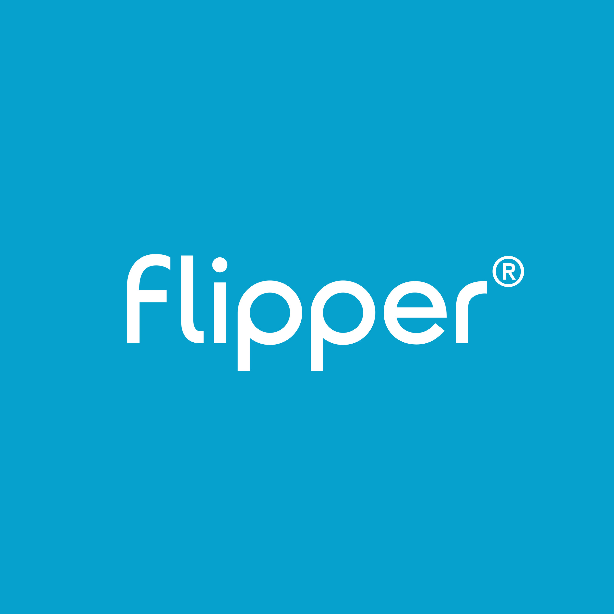 Flippers
